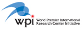 WPI Logomark