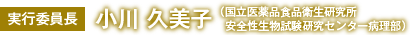 実行委員長:小川 久美子(国立医薬品食品衛生研究所 安全性生物試験研究センター病理部)