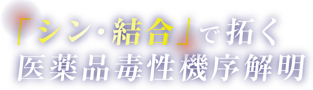 「シン・結合」で拓く医薬品毒性機序解明